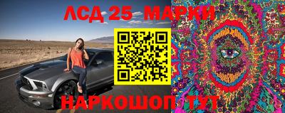 соль ск Ипатово
